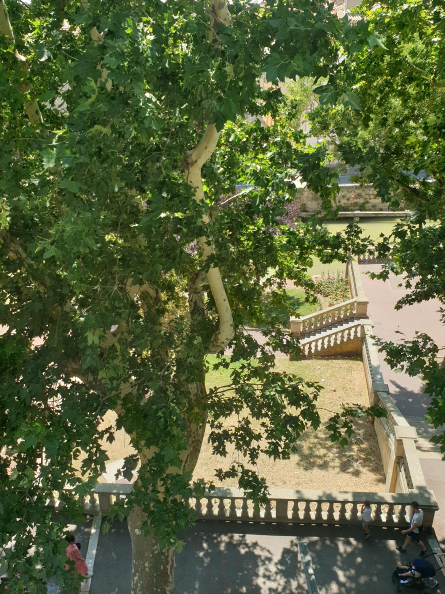 Via Narbona Apartment Bagian luar foto